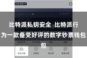 比特派私钥安全 比特派行为一款备受好评的数字钞票钱包