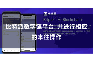比特派数字链平台 并进行相应的来往操作
