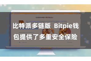 比特派多链版  Bitpie钱包提供了多重安全保险