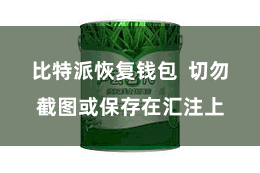 比特派恢复钱包  切勿截图或保存在汇注上